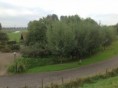 /album/fotogalarij/brakelsveer3-jpg/